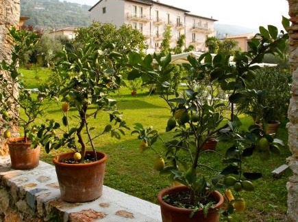 Torri del Benaco Hotel | Hotel Belvedere