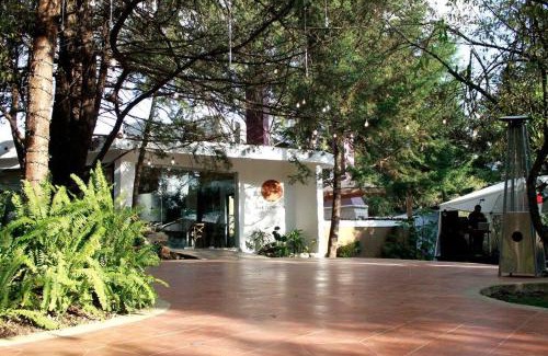 San Cristóbal de las Casas Hotel | Hotel Bosques del Sol Suites