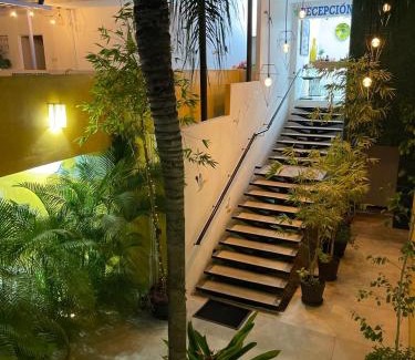Colonia Olímpica Hotel | Hotel Boutique Ixaya
