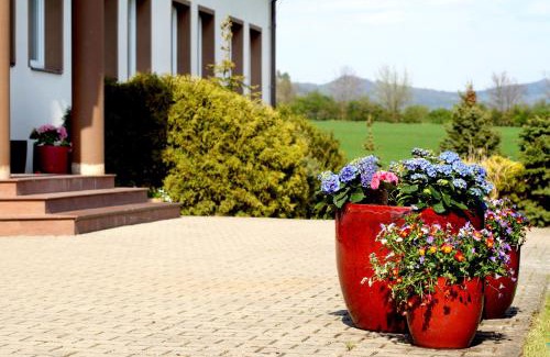 Brada-Rybnicek Hotel | Hotel BRADA