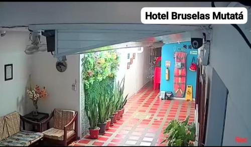 Mutata Hotel | Hotel Bruselas Mutata