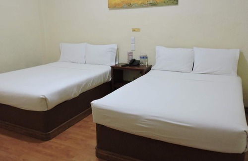 León Centro Hotel | Hotel Capri de León México