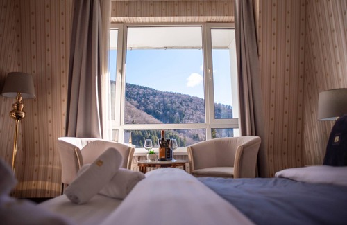 Sinaia Hotel | Hotel Carpathia
