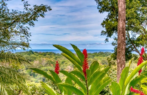 Cahuita Hotel | Hotel Casa Conley Del Mar