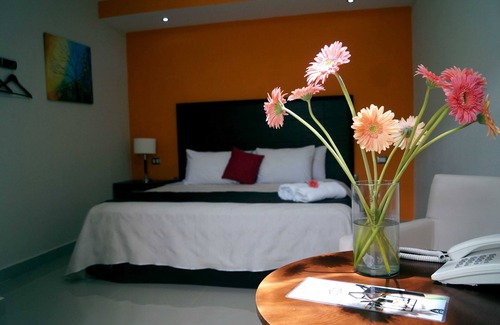 Zona Paseo Montejo Hotel | Hotel Casa Palomino