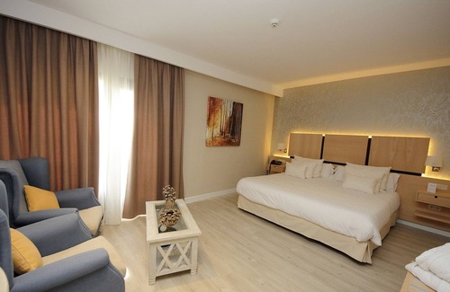 Alcázar de San Juan Hotel | Hotel Château Viñasoro