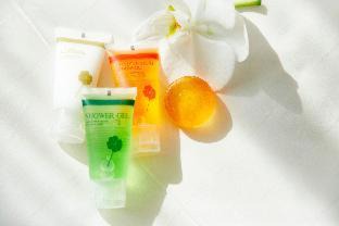 Bangkok Central Business District Hotel | Hotel Clover Asoke - SHA Extra Plus
