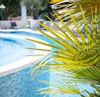 Cervia Hotel | Hotel Conchiglia
