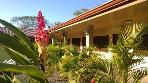Tarcoles Hotel | Hotel D'Lucia - Quebrada Ganado, Jaco, Costa Rica