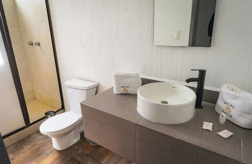 León Hotel | HOTEL DALIA