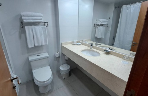 Temuco Hotel | Hotel Diego de Almagro Temuco Express