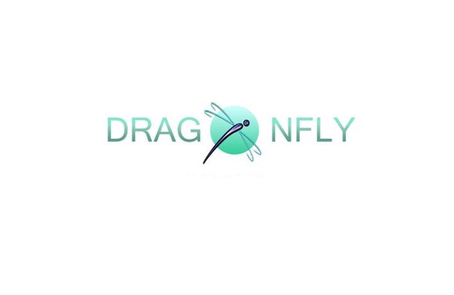 Ukhta Hotel | Hotel Dragonfly
