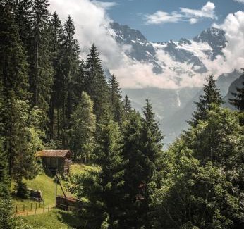Wengen Hotel | Hotel Edelweiss