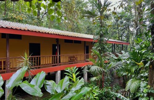 Sarapiquí Hotel | Hotel El Bambu