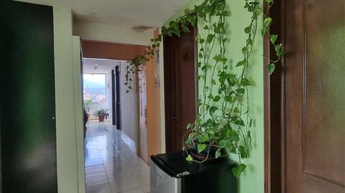Zacatlán Casa | Hotel El Eden 4 per 15