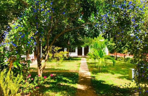Anuradhapura Hotel | Hotel First Kingdom - Anuradhapura