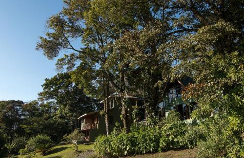 Monteverde Hotel | Hotel Flor de Bromelia