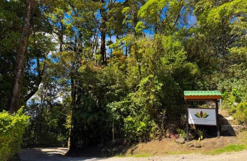 Monteverde Hotel | Hotel Flor de Bromelia