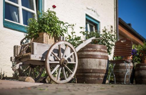 Koppl Casa | Hotel-Gasthof Am Riedl