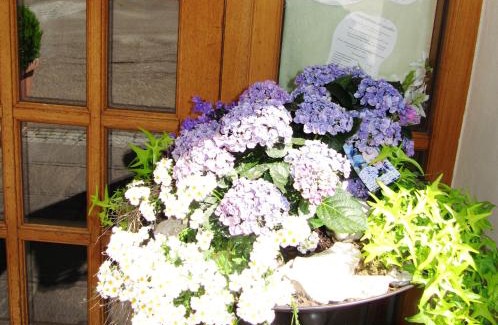Wiesensteig Hotel | Hotel Gasthof am Selteltor