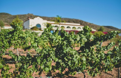 Valle de Guadalupe Villa | Hotel Hacienda Guadalupe
