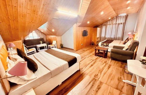 Manali Hotel | Hotel Hadimba palace
