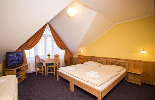 Rokytnice nad Jizerou Hotel | Hotel Helena