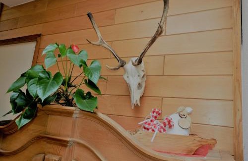 Matrei in Osttirol Hotel | Hotel Hohe Tauern