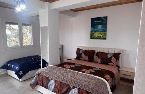 Shkoder Hotel | Hotel I Pari