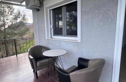 Shkoder Hotel | Hotel I Pari