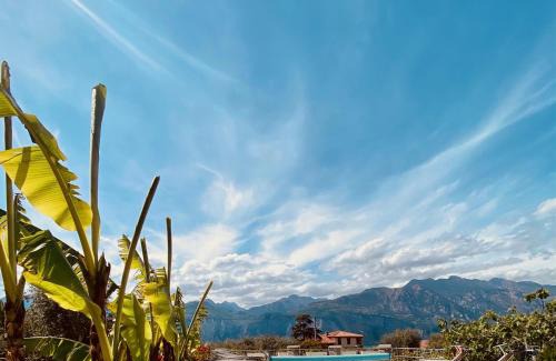 Malcesine Hotel | Hotel Ideal