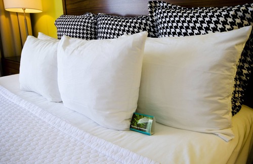 Columbus Hotel | Hotel Indigo Columbus Architectural Center by IHG