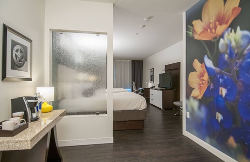 Brazos Hotel | Hotel Indigo WACO - BAYLOR by IHG