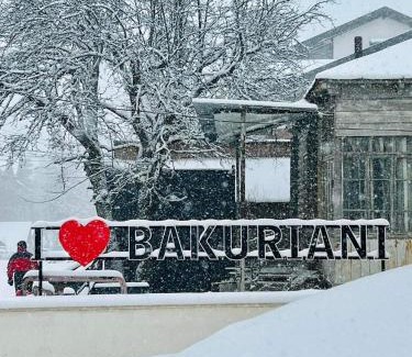 Bakuriani Hotel | Hotel King David Bakuriani