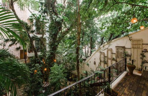 Gonzalo Guerrero Hotel | Hotel La Semilla a Member of Design Hotels