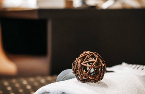 Esquilino Hotel | Hotel Latinum