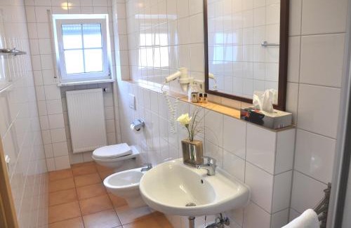 Kenzingen Casa | Hotel Mühleinsel