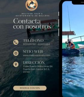 Puerto San Carlos Hotel | Hotel Melyvan