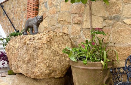 Tuxtla Gutiérrez Hotel | Hotel Monkey House Tuxtla Gutiérrez