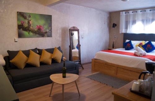 Barrio de Guadalupe Hotel | Hotel Vinahel