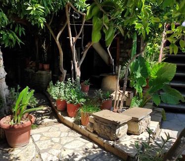 Berat Hotel | Hotel Nasho Vruho