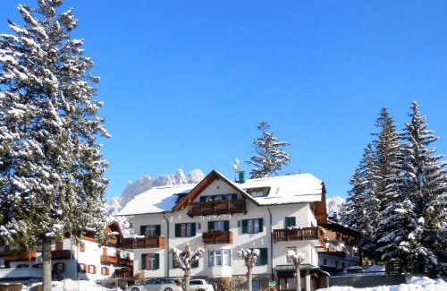 Cortina d'Ampezzo Hotel | Hotel Oasi