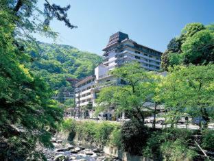 Hakone Hot Springs Hotel | Hotel Okada