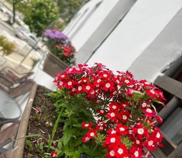 Berat Hotel | Hotel Omer