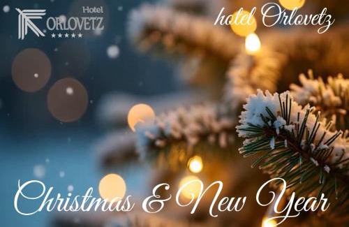 Pamporovo Hotel | Hotel Orlovetz