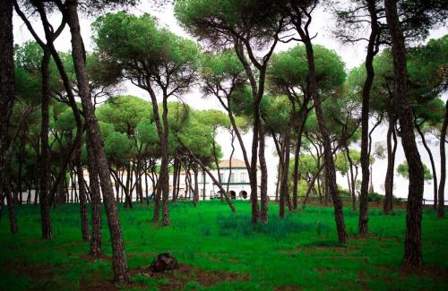 Alcalá de Guadaira Hotel | Hotel Oromana
