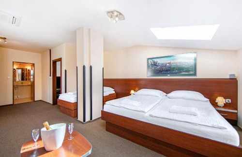 Plzen Hotel | Hotel Palace