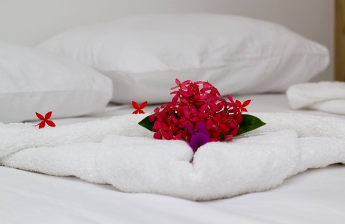 Las Terrenas Hotel | Hotel Palococo