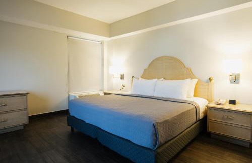 Centro de Monterrey Hotel | Hotel Parque Central