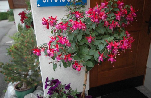Zuzwil Casa | Hotel Pension Im Dorf